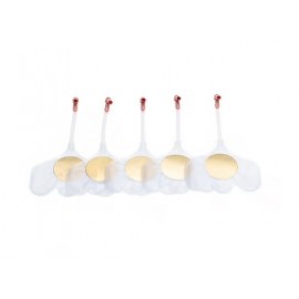 Voies respiratoire Little Baby QCPR  (X24)