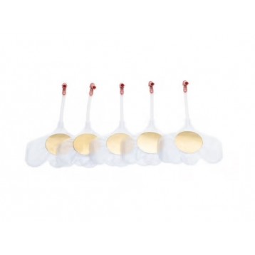 Voies respiratoire Little Baby QCPR  (X24)