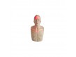 PACK SST - PSC1 N°8